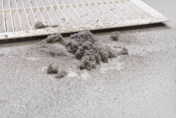 Best Air Duct Cleaning Near Me  in Holley, FL
