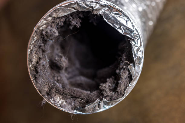 Best Commercial Air Duct Cleaning  in Holley, FL