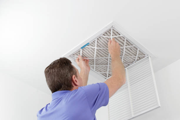 Best Air Duct Cleaning Near Me  in Holley, FL